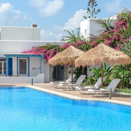 Aggeliki's Diamond Aparthotel Agia Anna  Ruang foto