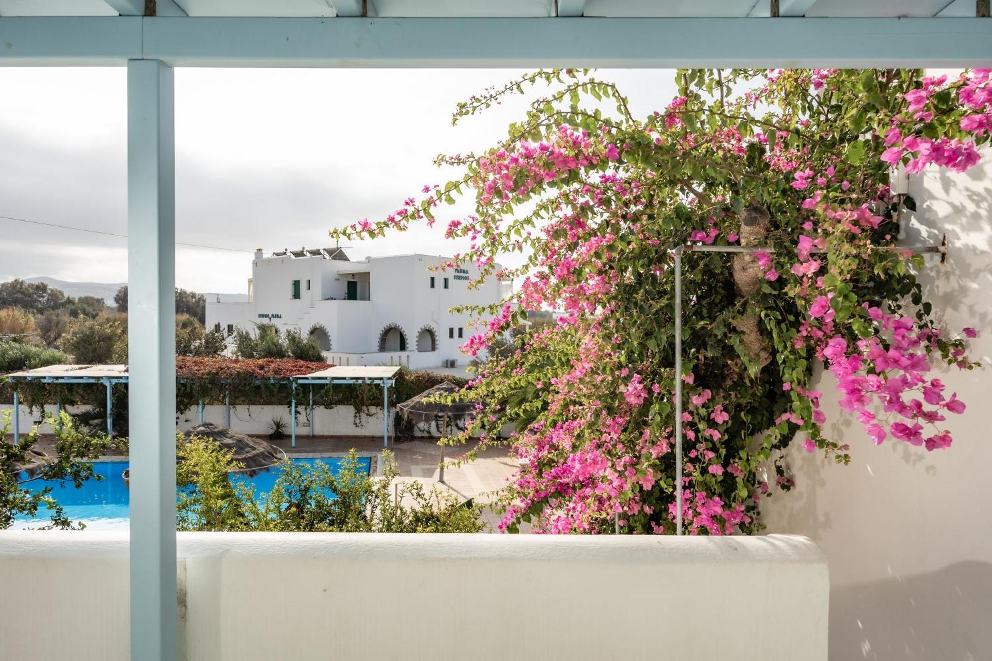 Aggeliki's Diamond Aparthotel Agia Anna  Bagian luar foto