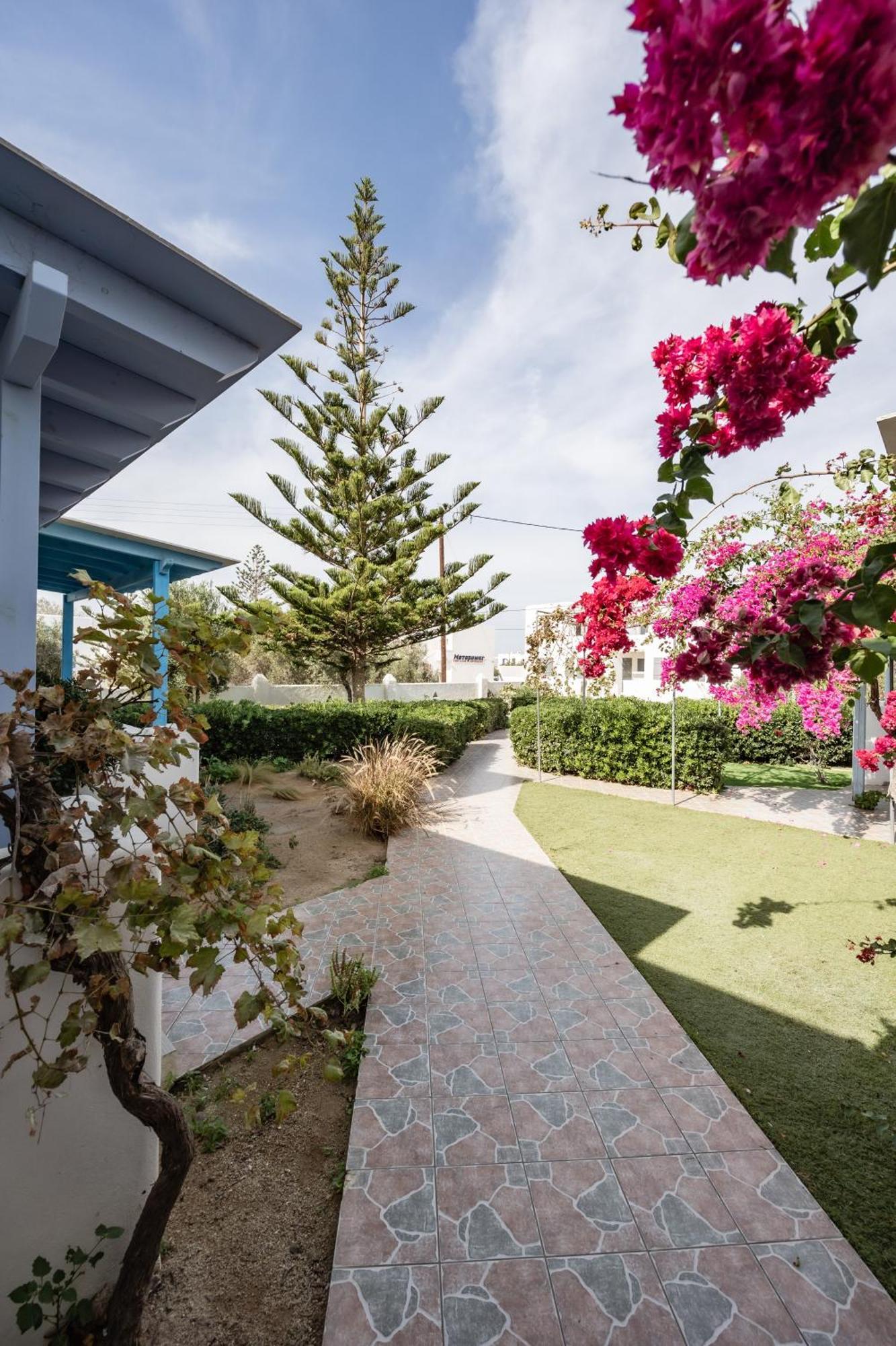 Aggeliki's Diamond Aparthotel Agia Anna  Bagian luar foto